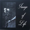 Image Of Life - Attended By Silence